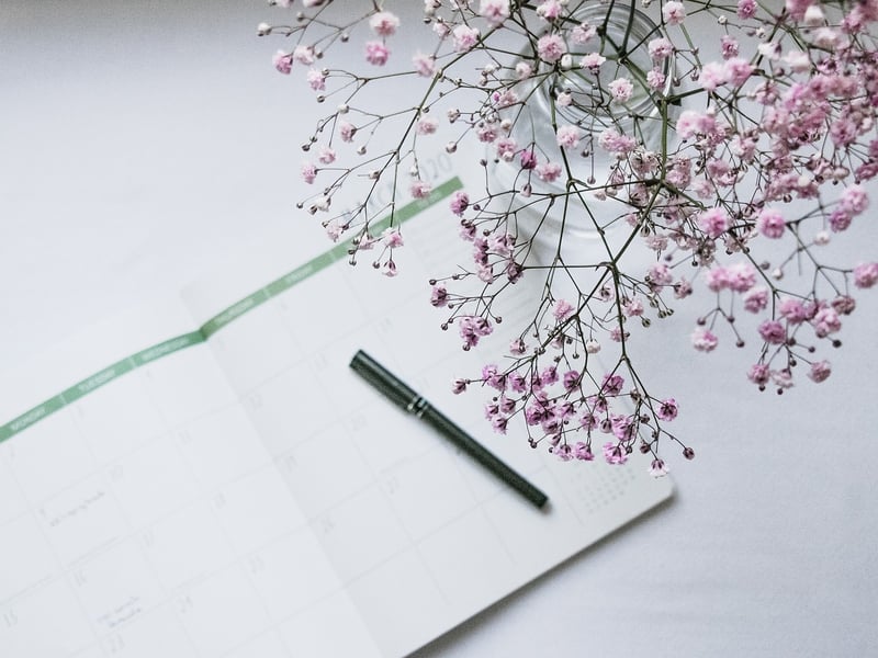 Timeline Organizer